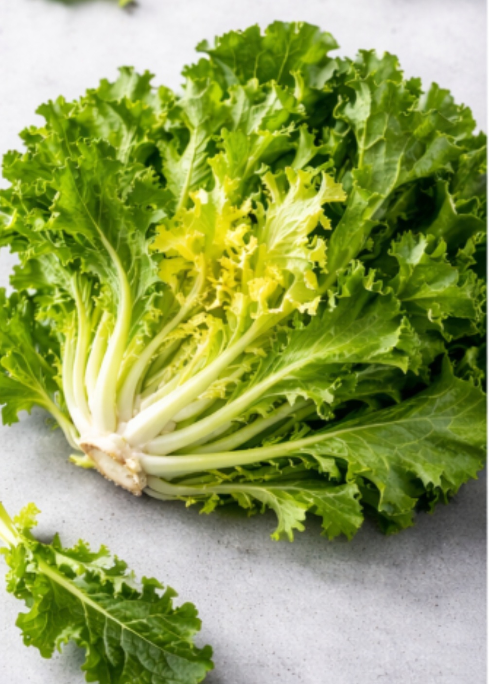 <p>Escarola<br />
A escarola oferece vitaminas do complexo B e minerais essenciais ao metabolismo. Seu consumo ajuda no funcionamento do sistema nervoso e na nutriÃ§Ã£o geral. VersÃ¡til, pode ser usada em saladas e refogados leves.</p>
