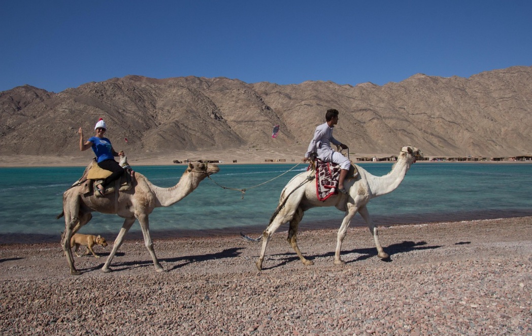 <p>O Sinai combina turismo religioso, histórico e ecológico<br />
Em 2025, o total de turistas no Egito continuou alto, com mais de 15 milhões de visitantes registrados até setembro</p>
