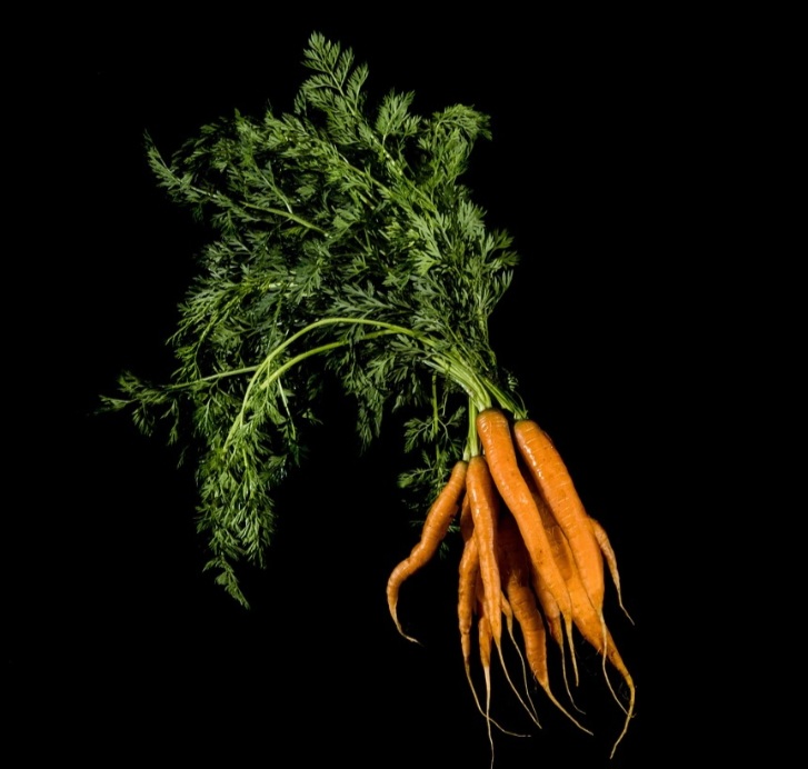 <p>Antes do consumo, é essencial lavar bem as folhas em água corrente. Retirar partes muito duras garante melhor textura nas preparações.</p>
