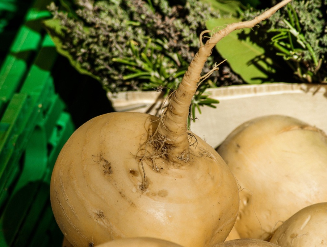 <p>Outro ponto importante é o aproveitamento integral dos alimentos. Utilizar folhas e talos reduz o desperdício doméstico e valoriza cada ingrediente comprado.</p>
