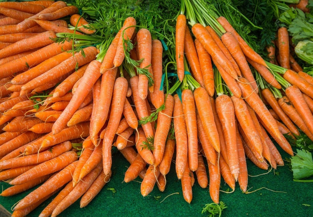 <p>Elas funcionam bem em caldos, sopas e refogados leves. Assim, transformam-se em um ingrediente versátil e nutritivo para refeições variadas.</p>
