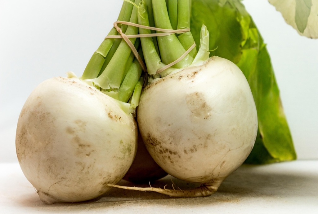 <p>Seu consumo regular pode auxiliar na manutenção dos ossos e da imunidade. Quando bem preparadas, têm sabor suave e agradável.</p>
