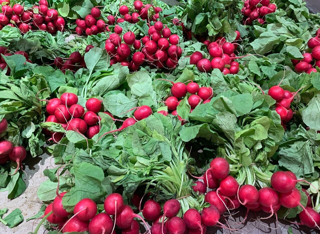 <p>As folhas de rabanete também merecem atenção. Possuem fibras e antioxidantes que colaboram para a digestão e o equilíbrio alimentar.</p>
