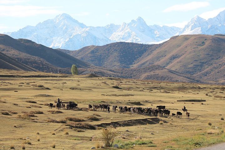 <p>Ele é cercado por algumas das cadeias de montanhas mais altas da Terra, incluindo o Kunlun ao sul, o Pamir a oeste e o Tian Shan ao norte.</p>
