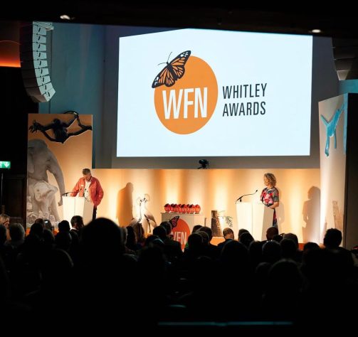 Whitley Fund for Nature (WFN), Whitley Awards 2026 – Reprodução @whitleyawards