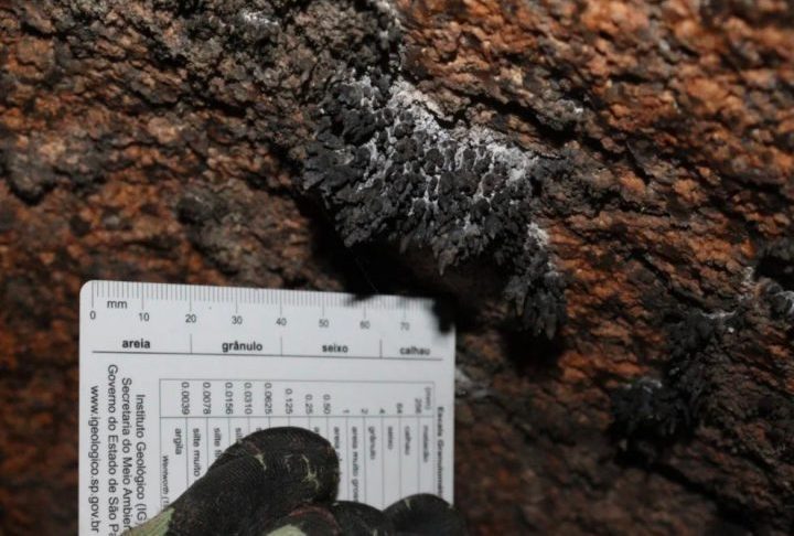 <p>Uma das cavernas, chamada de “Caverna dos Corais”, surpreendeu ao revelar estruturas minerais que lembram corais marinhos, um fenômeno escasso no cenário geológico mundial.</p>
