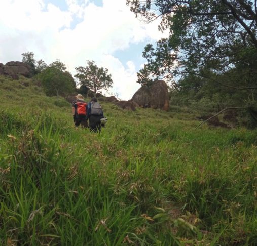 <p>Elas ajudam a reter água no subsolo e contribuem para a manutenção da umidade e da vegetação da serra.</p>
