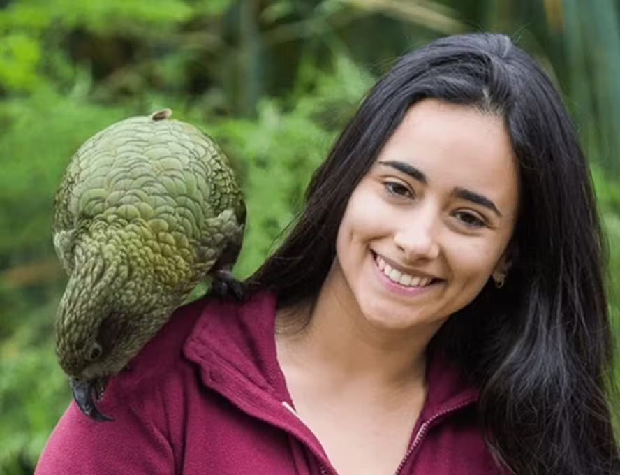 <p>A pesquisa foi dirigida pela bióloga brasileira Amália Bastos, da Universidade de Saint Andrews, no Reino Unido. Ela é especialista em desvendar a inteligência de animais. E partiu da seguinte questão: um macaco consegue “fingir” que algo é real sabendo que não é? Estariam eles próximos dos humanos nesse ponto?”</p>
<p>&nbsp ;</p>
