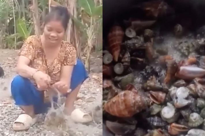 Emma Amit, influenciadora de 51 anos morre após ingerir caranguejo com toxina mortal – Reprodução/Redes Sociais