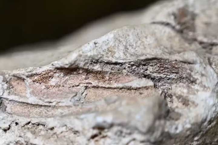 <p>O gesso é uma pasta moldável que endurece rapidamente, capturando detalhes finos. Na Roma antiga, essa propriedade era aproveitada para revestir paredes e também para envolver corpos em funerais. Assim, o mesmo material que sustentava edifícios podia eternizar memórias.</p>
