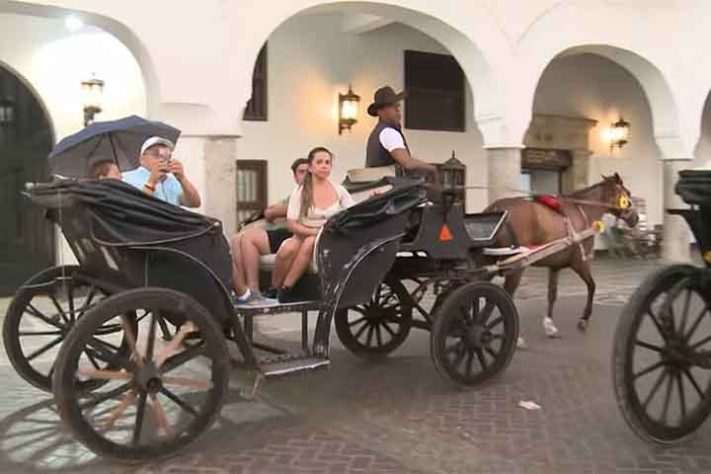 Poços de Caldas encerra serviço de charretes a cavalo