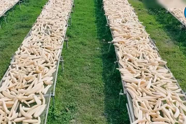 <p>Estima-se que o volume de resíduos de colheita possa ultrapassar 5 bilhões de toneladas anuais.</p>
