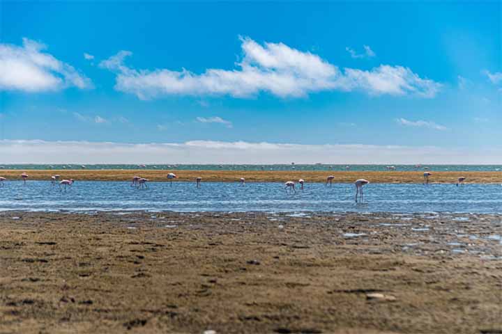 Além de abastecer rios e lagos, o lençol freático sustenta ecossistemas inteiros, garantindo a sobrevivência de plantas e animais. Ele funciona como regulador ambiental, mantendo o fluxo de água mesmo em períodos de seca. Dessa forma, sua preservação é diretamente ligada à biodiversidade.