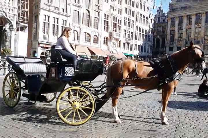 Bruxelas - Em agosto de 2024, a capital da Bélgica tornou-se a primeira cidade da Europa a implementar uma transição completa das carruagens turísticas a cavalo para veículos elétricos. 
