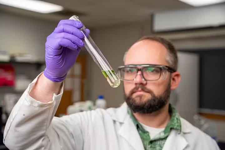 Outro resultado inesperado foi que plantas expostas a cádmio e nanoplásticos apresentaram 67% mais partículas plásticas nas folhas do que aquelas expostas apenas aos nanoplásticos. Isso sugere que o cádmio influencia o desenvolvimento das raízes, facilitando a entrada passiva dos fragmentos de plástico.