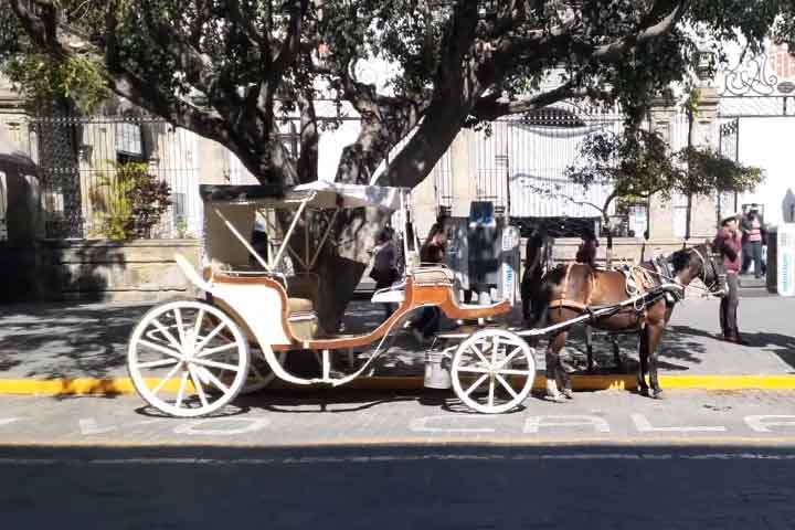 Guadalajara - Em maio de 2018, a cidade mexicana iniciou a operação de carruagens elétricas no município, dando fim à prática centenária de usar cavalos nesse tipo de transporte.
