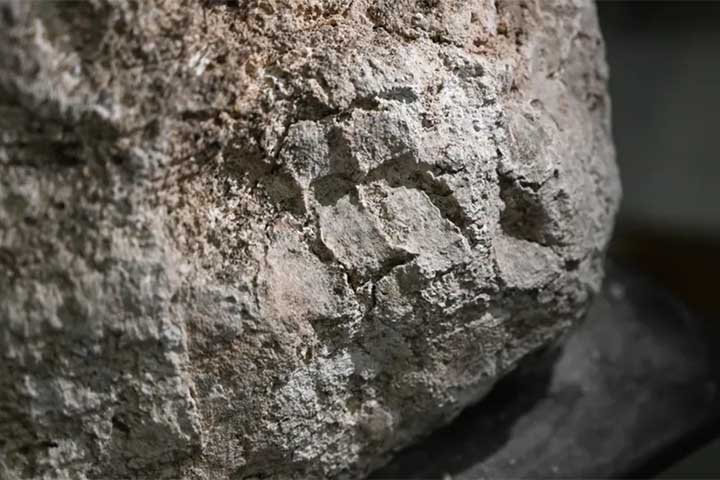 <p>Três bebês com menos de quatro meses foram encontrados em sepultamentos desse tipo. O uso do gesso para recém-nascidos mostra que o material servia para expressar luto e amor, mesmo quando a lei não reconhecia oficialmente o velório infantil.</p>
