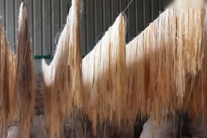 <p>Nesse cenário, biorrefinarias e plantas industriais ganham espaço ao transformar biomassa residual em energia, biocombustíveis, produtos químicos, fibras, bioplásticos e materiais para a construção civil.</p>
