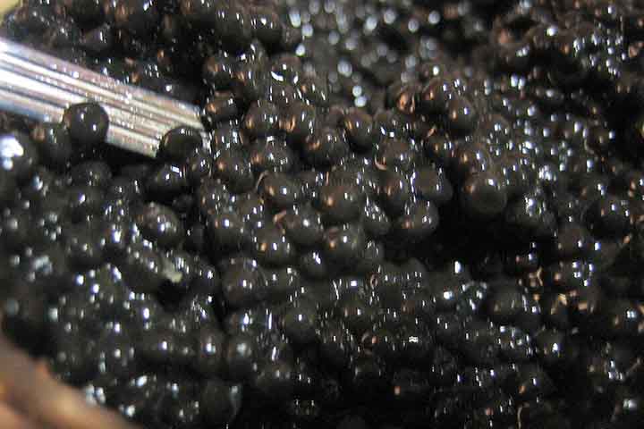 Ovas de lumpo - Caviar, iguaria de luxo feita da ova de espécies do peixe esturjão - el copilot /Wikimédia Commons