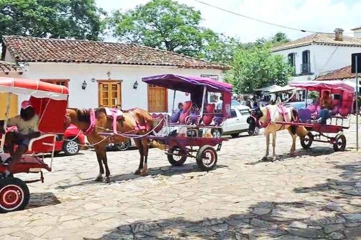 Poços de Caldas encerra serviço de charretes a cavalo