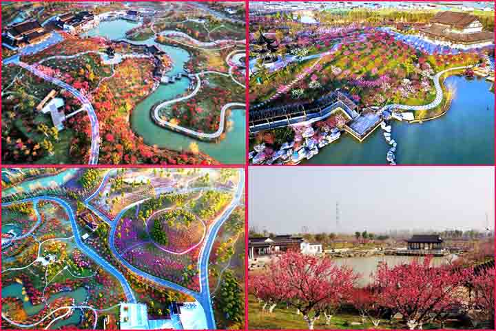 O Dream Maze está localizado no distrito de Dafeng, que se destaca pela preservação ambiental. Essa região abriga áreas de proteção de aves migratórias e reforça a vocação ecológica do labirinto.