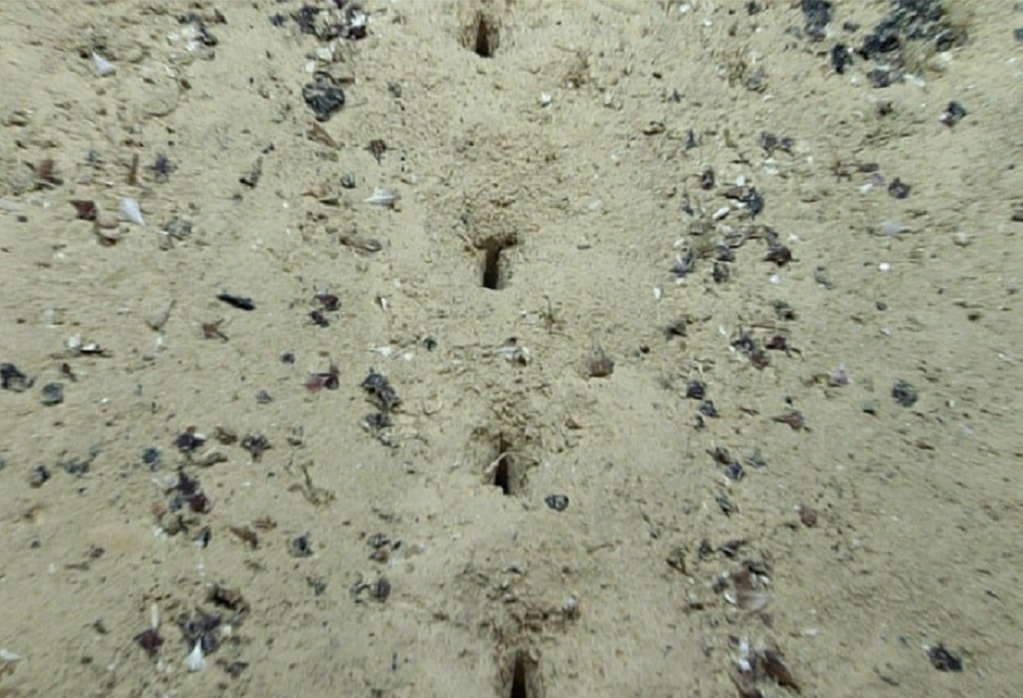 <p>Esses orifícios chamaram atenção por sua organização incomum. Diferente do que ocorre em formações naturais típicas, os buracos apareciam dispostos em linhas quase retas, com espaçamento relativamente uniforme entre eles.</p>
