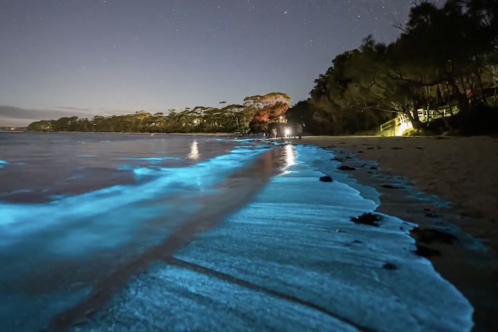 <p>Embora a bioluminescência exista em várias regiões do planeta, as praias das Maldivas se destacam por apresentar um espetáculo especialmente intenso, favorecido pelas águas tropicais ricas em fitoplânctons, pelas temperaturas adequadas e pela baixa poluição luminosa.</p>
