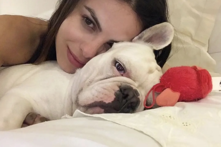 <p>A retirada dos espinhos exigiu sedação, já que eles precisam ser removidos um a um. Apesar do susto, a atriz afirmou que os cachorros não correm risco de vida.</p>
