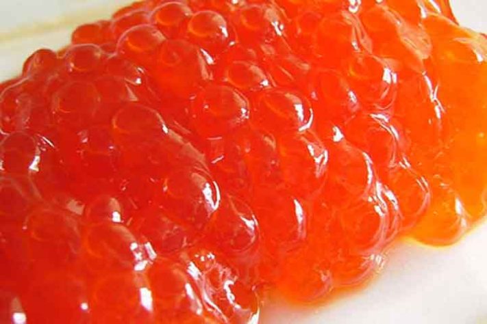Caviar, a iguaria de luxo