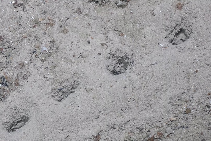 <p>Outras teorias mencionam a possível liberação de gases aprisionados no subsolo, embora o alinhamento perfeito torne essa explicação geológica menos provável.</p>
