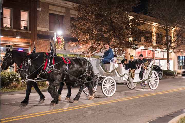 Montreal - Em 2018, as preocupações com o bem-estar animal levaram a cidade canadense a abolir as carruagens a cavalo, chamadas calèches e que eram populares entre turistas na região onde está a Basílica de Notre-Dame. 
