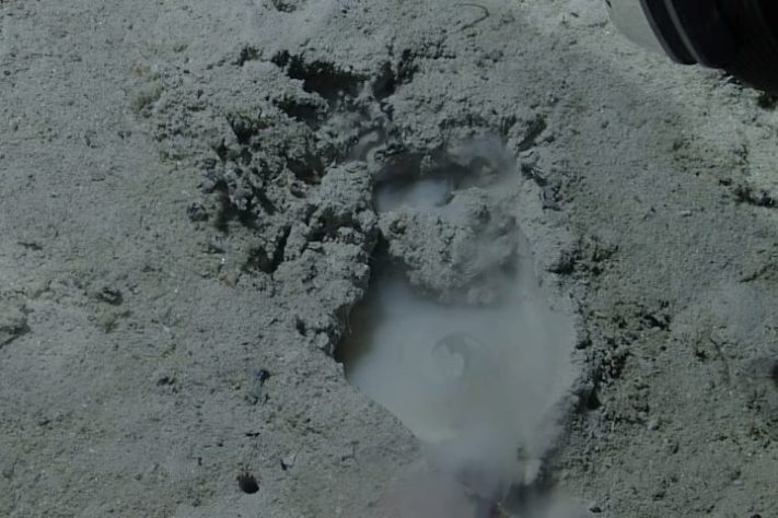 Cientistas encontram fileiras de buracos perfeitamente alinhados no fundo do oceano - Reprodução/NOAA