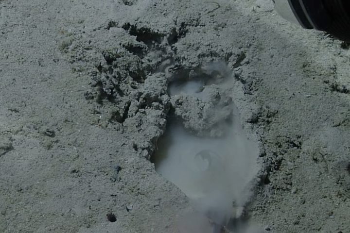 <p>Cada cavidade tinha poucos centímetros de diâmetro, bordas bem definidas e era cercada por pequenos montes de sedimento, como se o material tivesse sido removido de dentro.</p>
