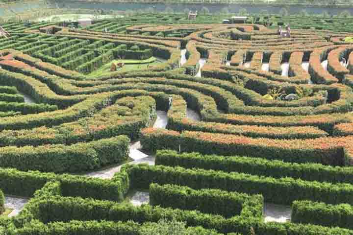 Mais do que um espaço para caminhar, o Dream Maze proporciona uma experiência interativa. Os visitantes podem testar sua capacidade de orientação, vivenciar momentos de suspense e celebrar conquistas ao encontrar saídas.