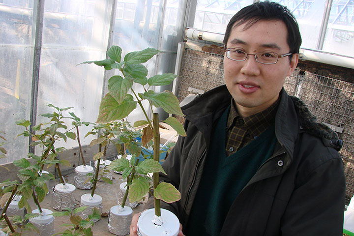 Xingmao Ma, líder da pesquisa, afirmou que os níveis de cádmio que desencadeiam medidas de remediação devem ser reduzidos. Essa recomendação reflete a necessidade de políticas mais rigorosas para proteger consumidores e agricultores.