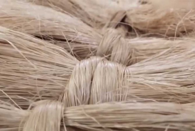 ‘Lixo agrícola’ substitui insumos fósseis e ajuda a reduzir gases poluentes; entenda