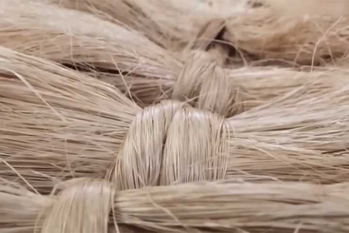 Resíduos agrícolas que se tornam combustível para indústrias _ Reprodução do Youtube Canal Poder da Indústria