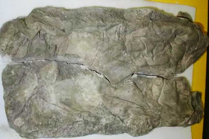 <p>Crianças mais velhas também foram relatadas. Uma menina de 7 a 9 anos foi sepultada com joias e calçados, envolta em gesso. Ossos de uma ave, talvez um animal de estimação, também estavam presentes. O material preservou esse universo afetivo, revelando cuidado e memória.</p>
