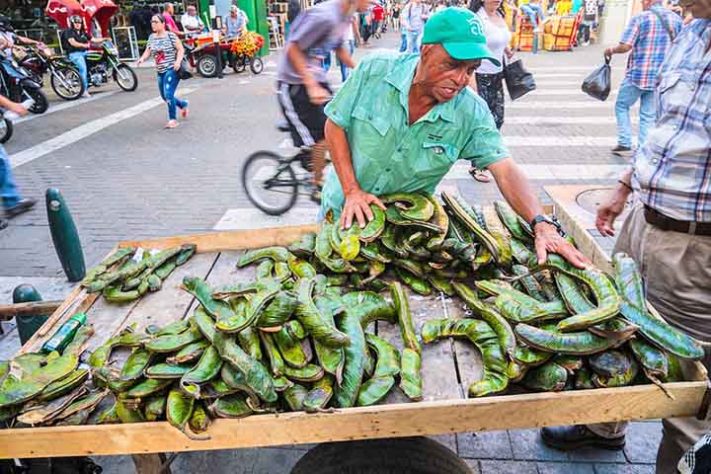 Ingá, a fruta conhecida como feijão-doce