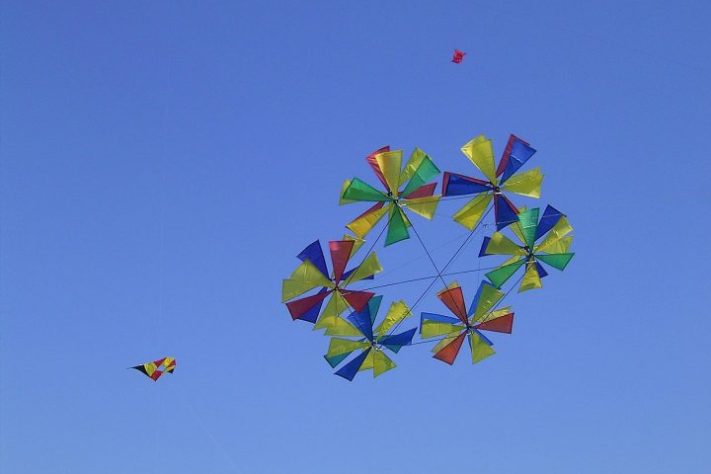 Pipa – Wikimedia Commons/Frank Vincentz