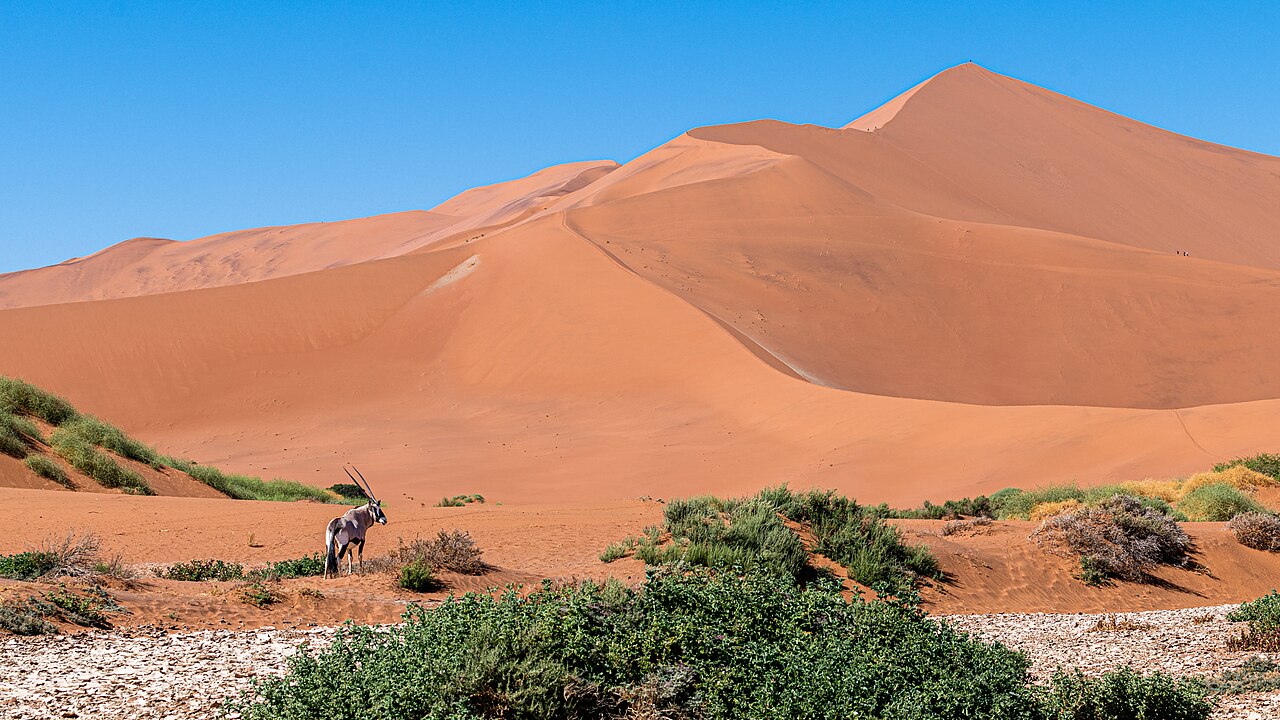Entre todas as dunas, a Big Daddy é a mais famosa e desafiadora. Com mais de 350 metros de altura, é considerada a segunda maior do mundo. Subir sua encosta exige esforço, já que a cada passo dado, o pé afunda e retorna. No entanto, o esforço é recompensado pela vista panorâmica que revela a grandiosidade do deserto.
