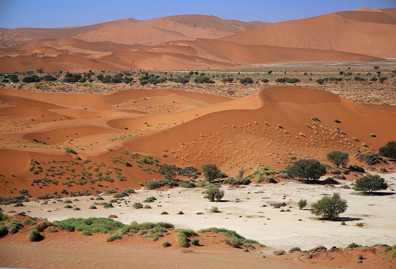 O clima em Sossusvlei é extremo: dias quentes, noites frias e chuvas raras. Nos meses de janeiro e fevereiro, quando a água chega, formam-se lagos temporários que refletem intensamente o céu azul. Essa alternância entre seca e umidade cria um ecossistema surpreendente em meio ao deserto.