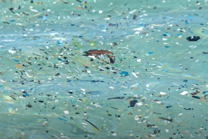 Os nanoplásticos são fragmentos microscópicos resultantes da degradação de plásticos maiores. Eles estão cada vez mais presentes em solos, águas e até no ar, tornando-se contaminantes persistentes que afetam ecossistemas e organismos vivos.