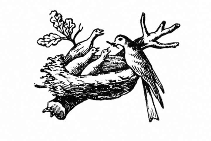 <p>A consolidação da empresa veio acompanhada da escolha de um nome e de um símbolo que refletissem sua essência. Assim, nasceu a Nestlé, representada por um ninho de pássaros, imagem que transmitia cuidado, nutrição e proteção. Essa identidade visual ajudou a fortalecer a confiança dos consumidores e a criar uma ligação emocional com a marca.</p>
<p>&nbsp;</p>
<p>&nbsp;</p>
