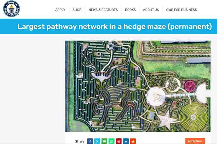 Por ser o maior do mundo, o labirinto ganhou destaque em publicações e registros internacionais. Esse reconhecimento fortalece a imagem de Yancheng como destino turístico global.