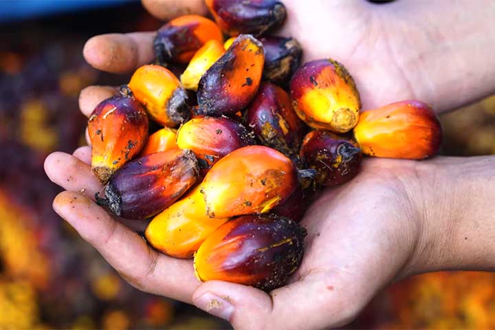 <p>Para se ter uma ideia, o desperdício de alimentos e resíduos agrícolas responde por cerca de 10% das emissões mundiais.</p>
