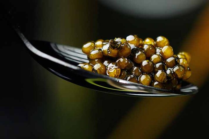 Caviar, a iguaria de luxo