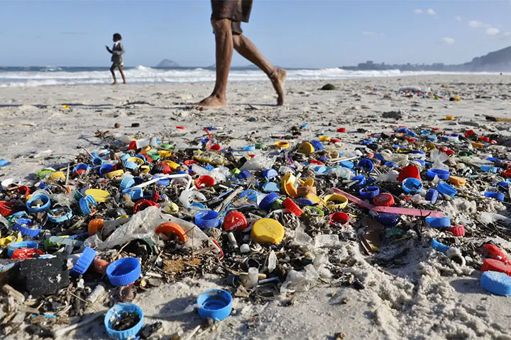 Embora o estudo tenha sido conduzido nos Estados Unidos, seus resultados tÃªm relevÃ¢ncia mundial. Isso porque o uso de plÃ¡sticos e fertilizantes Ã© comum em diversos paÃ­ses, e a interaÃ§Ã£o entre contaminantes pode ocorrer em diferentes contextos agrÃ­colas.