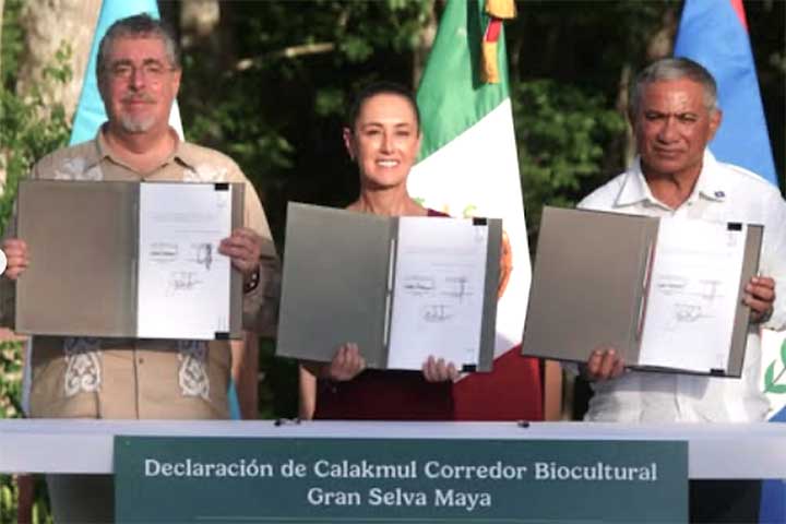 A proteção do quetzal exige esforços conjuntos entre países da América Central. Programas de preservação de florestas e combate à caça ilegal são essenciais para garantir sua sobrevivência.