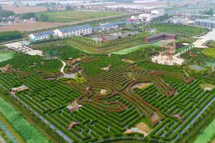 Cada visita ao Dream Maze é marcada por desafios diferentes. A sensação de se perder e reencontrar o caminho transforma o passeio em uma aventura divertida e memorável.